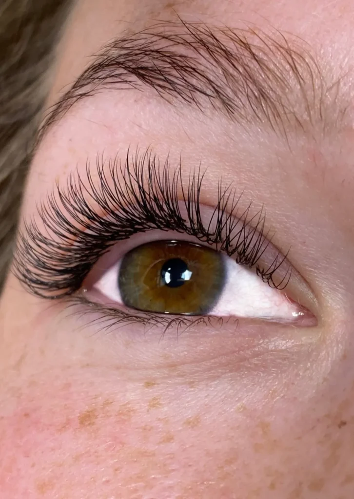 קורס הלחמת ריסים, לימודי ריסים